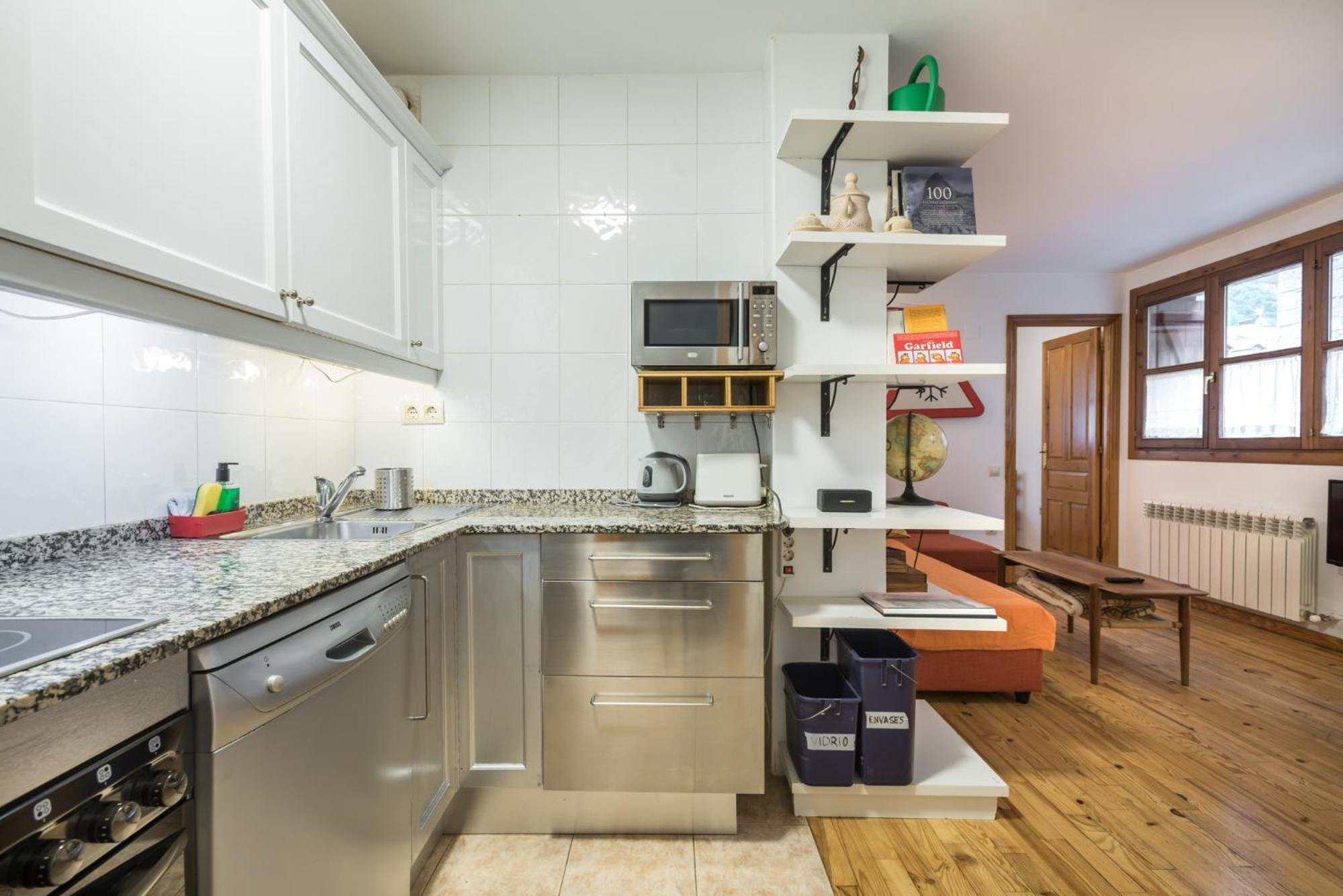 Apartamento La Benasquita Benasque Zewnętrze zdjęcie